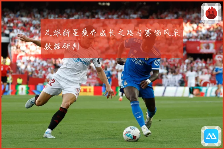 足球新星桑乔成长之路与赛场风采数据研判