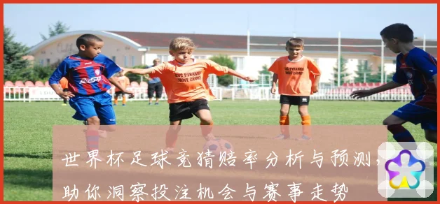 世界杯足球竞猜赔率分析与预测，助你洞察投注机会与赛事走势