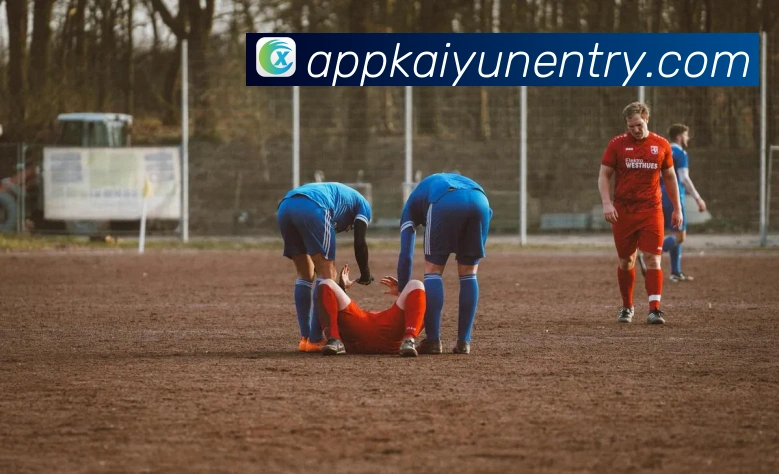 开云平台展示图